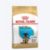 Royal Canin German Shepherd Junior Puppy Dry Food