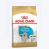 Royal Canin Golden Retriever Puppy Dry Food
