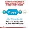 Royal Canin Golden Retriever Puppy Dry Food