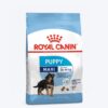 Royal Canin Maxi Breed Junior Puppy Dry Food