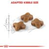 Royal Canin Kitten Dry Cat Food