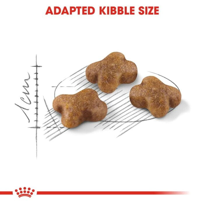 Royal Canin Kitten Dry Cat Food