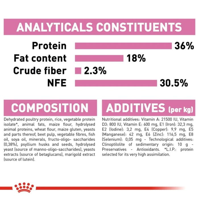 Royal Canin Kitten Dry Cat Food