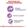 Royal Canin Sterilised 37 Adult Cat Dry Food
