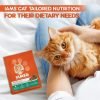 IAMS Proactive Healthy Adult (1+ Years) Chicken & Salmon Meal Dry Premium Cat Food