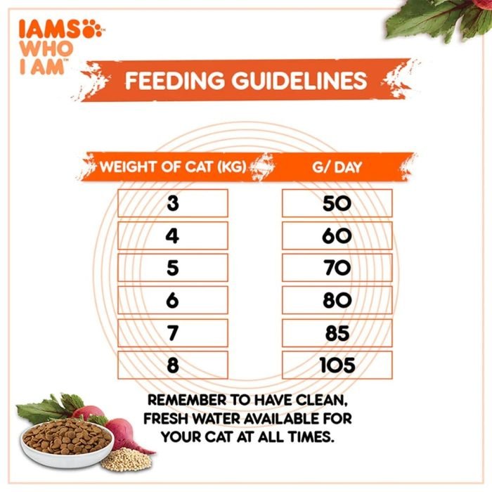 IAMS Proactive Healthy Adult (1+ Years) Tuna & Salmon Meal Premium Dry Cat Food