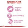 Royal-Canin-Kitten-Jelly-Wet-Cat-Food-85-g-packs