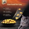Sheba Chicken Flavour Kitten & Adult Cat Dry Food