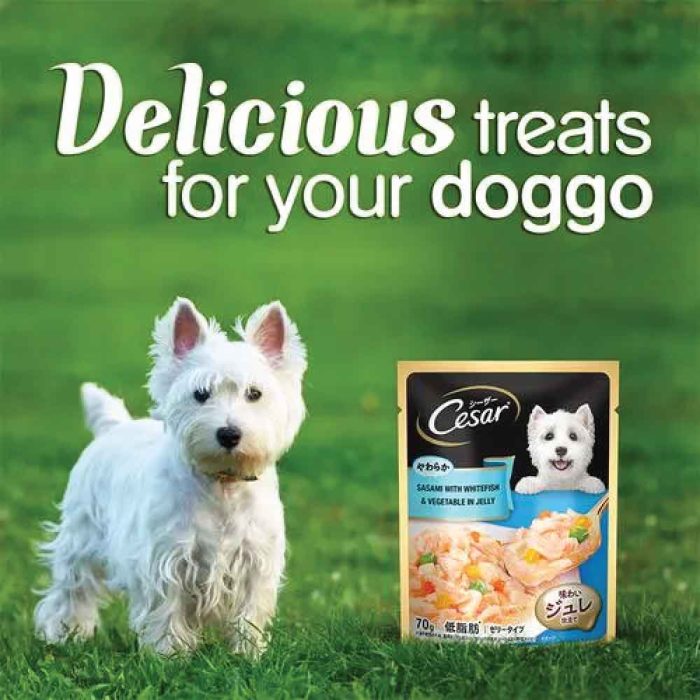 Cesar-Sasami-with-Whitefish-&-Vegetable-in-Jelly-Dog-Wet-Food-70g