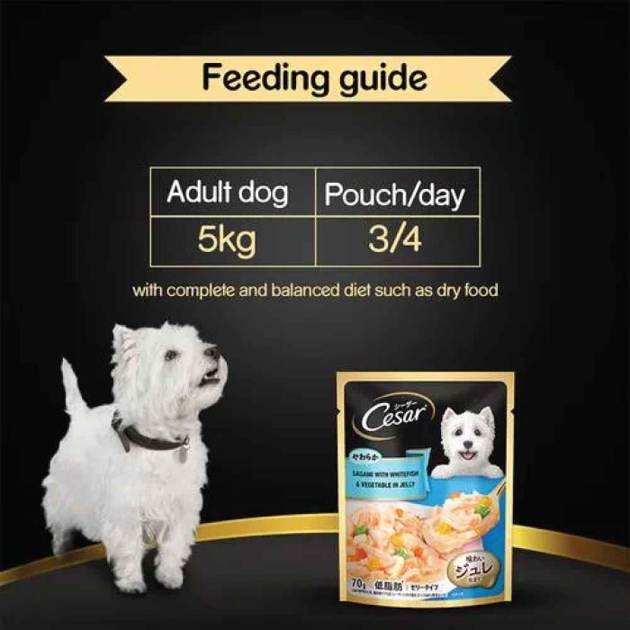 Cesar-Sasami-with-Whitefish-&-Vegetable-in-Jelly-Dog-Wet-Food-70g