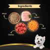 Cesar-Sasami-with-Whitefish-&-Vegetable-in-Jelly-Dog-Wet-Food-70g