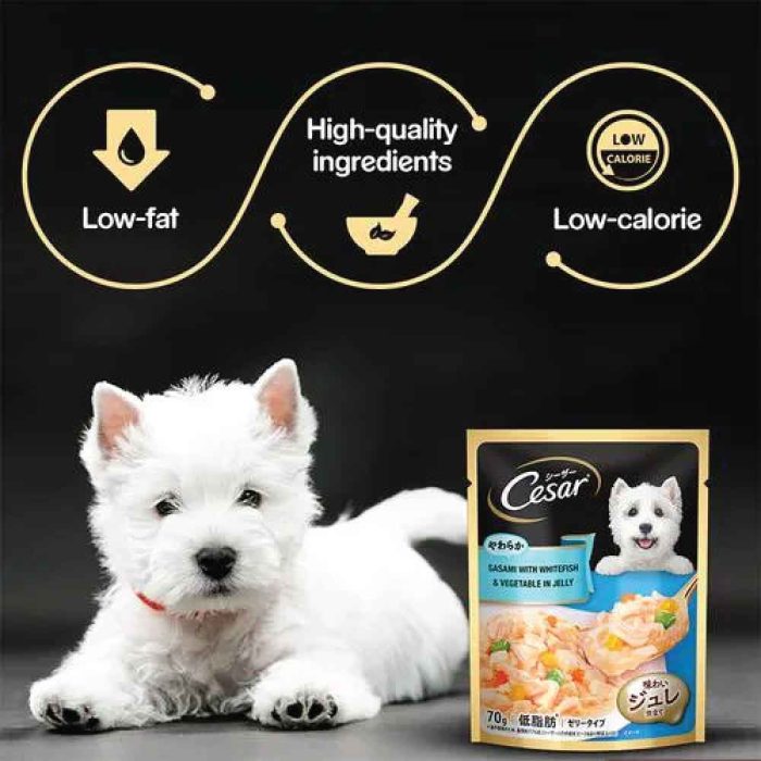 Cesar-Sasami-with-Whitefish-&-Vegetable-in-Jelly-Dog-Wet-Food-70g