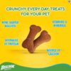 Pedigree Biscrok Biscuits for Dogs (Above 4 months) - Chicken flavour