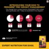 Pedigree PRO Expert Nutrition Active Adult Dogs