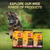 Pedigree PRO Expert Nutrition Adult Small Breed Dogs (9 Months Onwards) Dry Dog Food