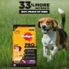 Pedigree PRO Expert Nutrition Adult Small Breed Dogs (9 Months Onwards) Dry Dog Food