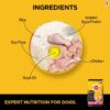 Pedigree PRO Expert Nutrition Dry Dog Food For Large Breed Puppy_3-18Months