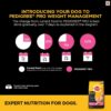 Pedigree PRO Expert Nutrition Dry Dog Food For Large Breed Puppy_3-18Months
