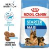 Royal Canin Maxi Starter Puppy Dry Food