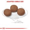 Royal Canin Medium Junior Puppy Dry Food