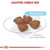 Royal Canin Mini Starter Puppy Dry Food