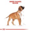Royal Canin Boxer Puppy Dry Food