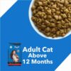 Drools Tuna and Salmon Adult Dry Cat Food