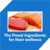 Drools Tuna and Salmon Adult Dry Cat Food