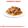 Royal Canin Mini Adult Wet Dog Food - 85g