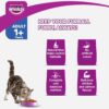 Whiskas Chicken & Salmon Adult Cat Dry Food For Healthy Skin & Coat