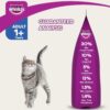 Whiskas Chicken & Salmon Adult Cat Dry Food For Healthy Skin & Coat