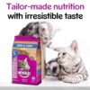 Whiskas Chicken & Salmon Adult Cat Dry Food For Healthy Skin & Coat