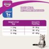 Whiskas Chicken & Salmon Adult Cat Dry Food For Healthy Skin & Coat
