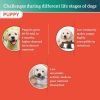 Himalaya-Chicken-&-Rice-Healthy-Pet-Puppy-Dry-Food