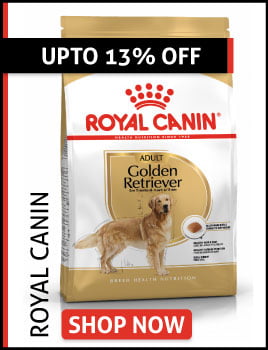 royal-canin